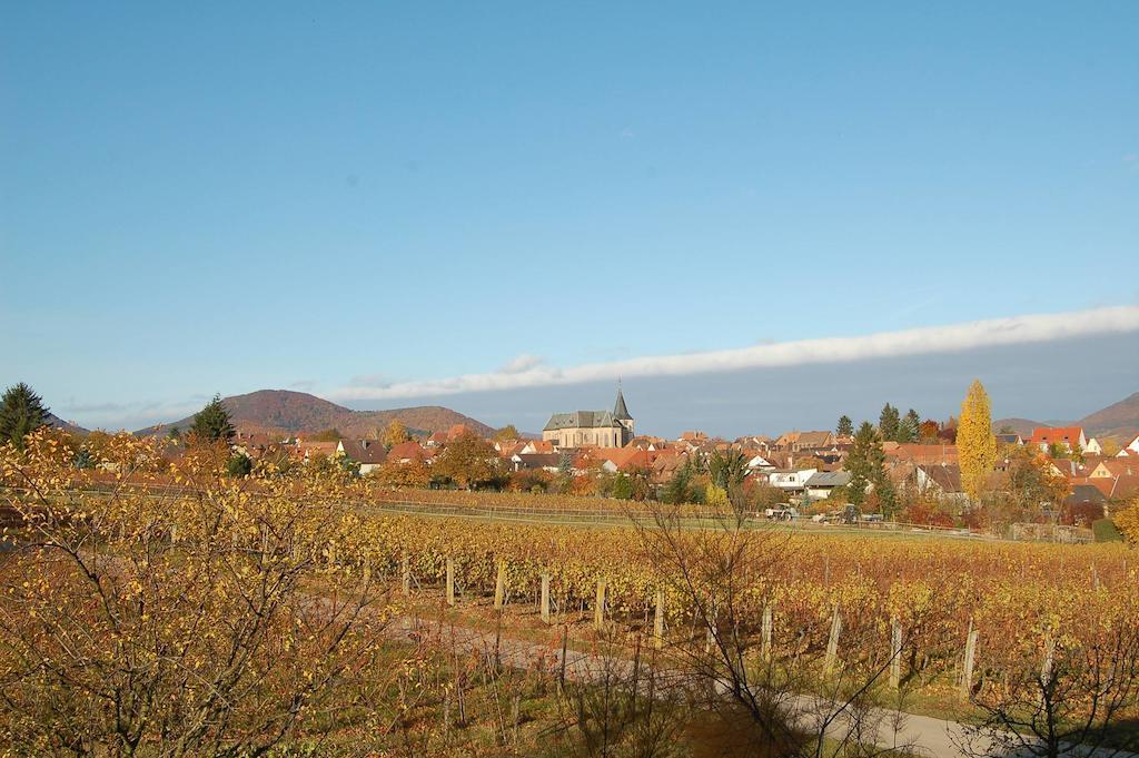 Gaestehaus Kleine Kalmit Landau in der Pfalz Bagian luar foto